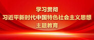 插屄网站在线播放学习贯彻习近平新时代中国特色社会主义思想主题教育_fororder_ad-371X160(2)